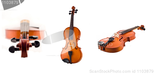 Image of Collage of Antique violin views isolated