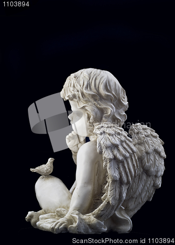 Image of Side view of small angel 