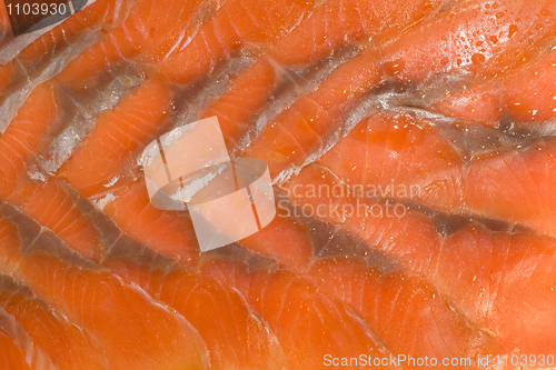 Image of Sliced hunchback salmon background