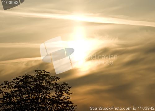 Image of Beautiful sunset