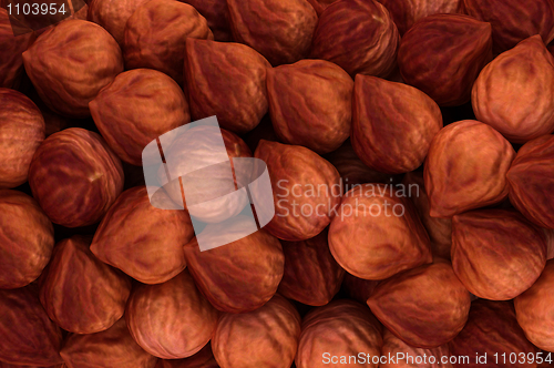 Image of Hazel nuts texture or background