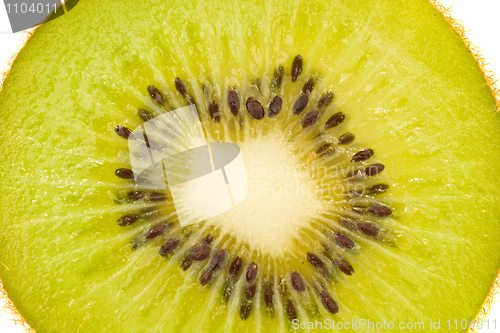 Image of Isolated kiwi fruit 