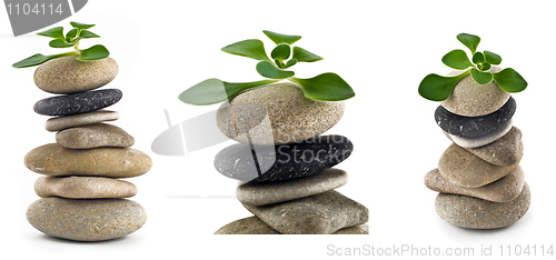 Image of Birth of life - collection of balanced stone towers with plants