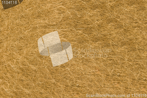 Image of Closeup of warm felt surface