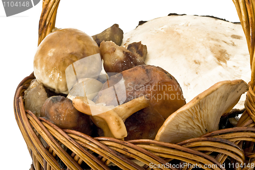 Image of Mushrooms in the wicker woven basket
