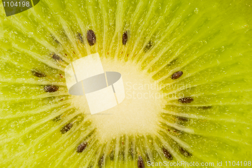 Image of Green macro of kiwi