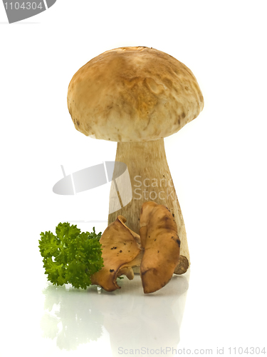Image of Mushrooms and green parsley