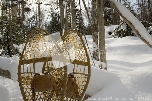 Image of Snowshoes