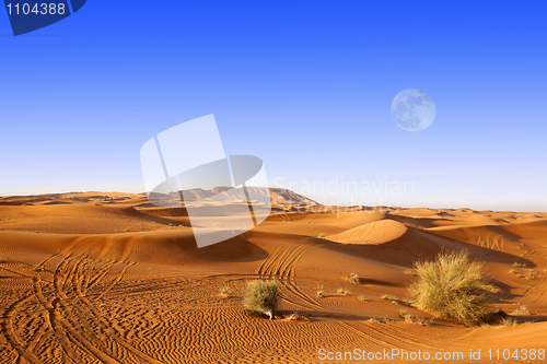 Image of Dubai sand dunes