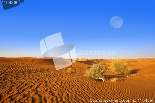 Image of Dubai sand dunes