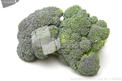 Image of Broccoli