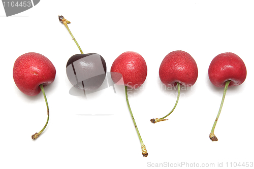 Image of Cherries
