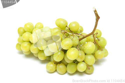 Image of Grapes