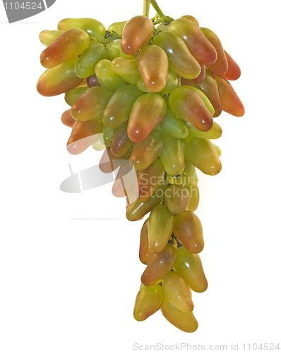 Image of Bunch of grapes 