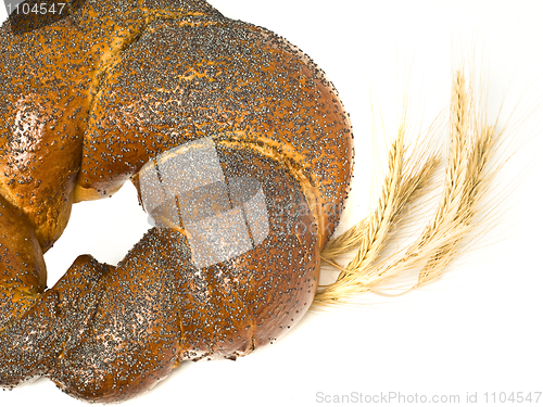 Image of Wheat corn and bagel 