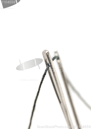 Image of Macro of Two needles 