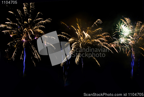 Image of Fireworks at night in the black sky