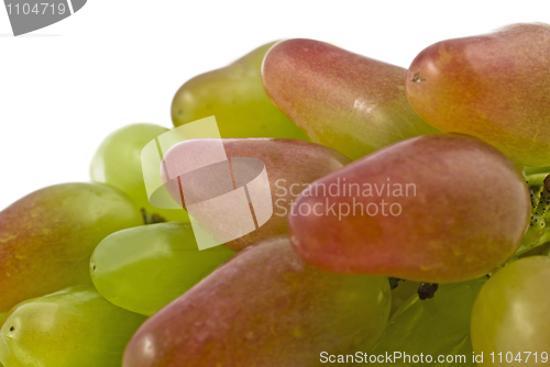 Image of Closeup of green grapes