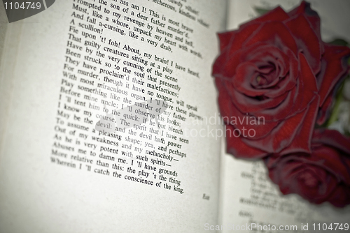 Image of Red Roses on the book