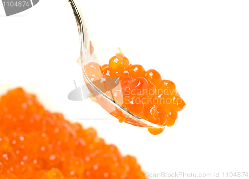 Image of Close-up of spoon with Red caviar