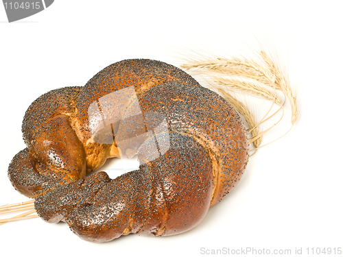 Image of Tasty bagel with poppy seeds