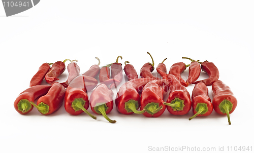 Image of Red hot spicy paprika