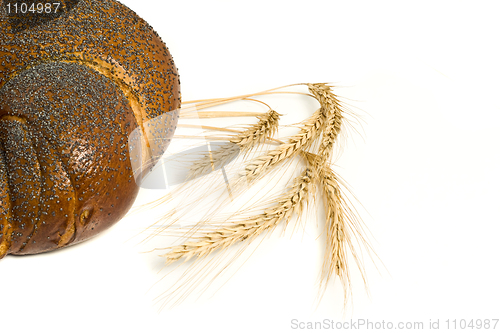 Image of Tasty bagel with poppy seeds and wheat corn