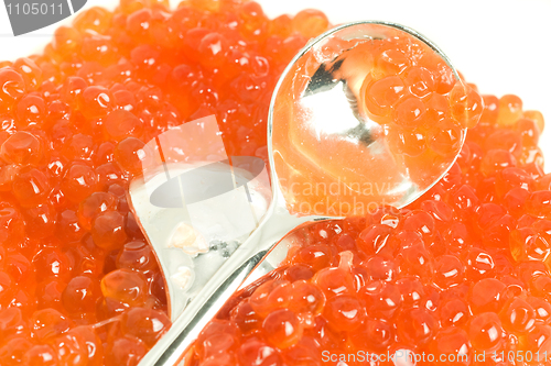 Image of Luxury delicatessen. Red caviar and two spoons