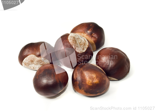 Image of Autumn yield - Pile of chestnuts 