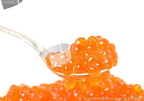 Image of Close-up of silver spoon with Red caviar