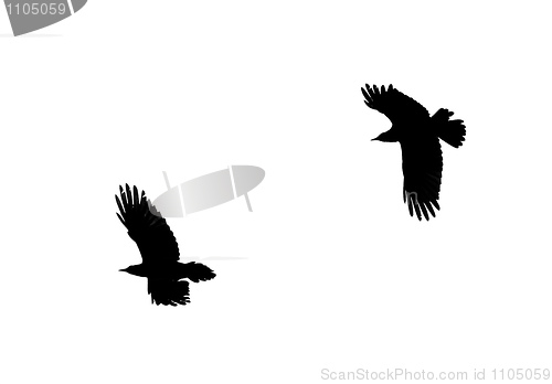 Image of Two birds silhouettes in the back lighting
