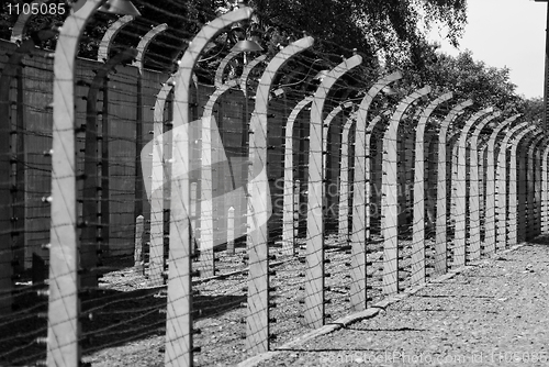 Image of Wire fence in Auschwitz concentration camp