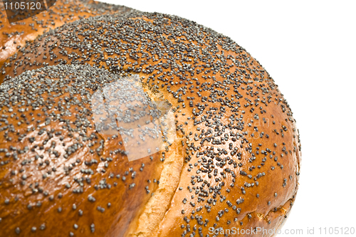 Image of Close-up of bagel with poppy seeds