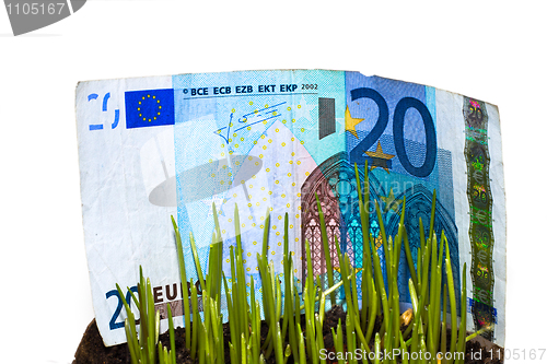 Image of Money At Grass