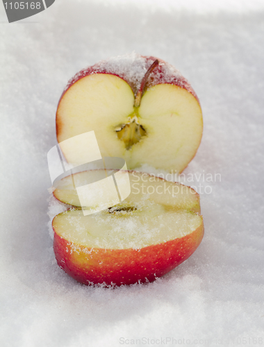 Image of Apples In Snow