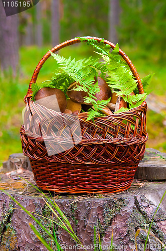Image of basket with mushrooms