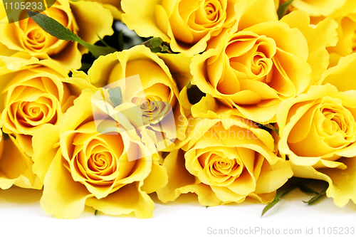 Image of yellow roses