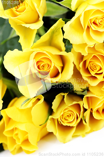 Image of yellow roses