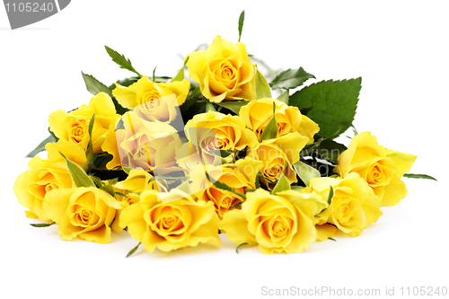 Image of yellow roses