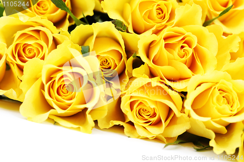Image of yellow roses