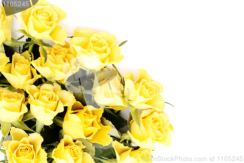 Image of yellow roses