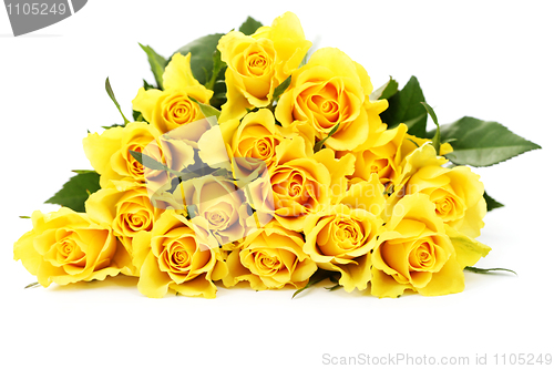 Image of yellow roses