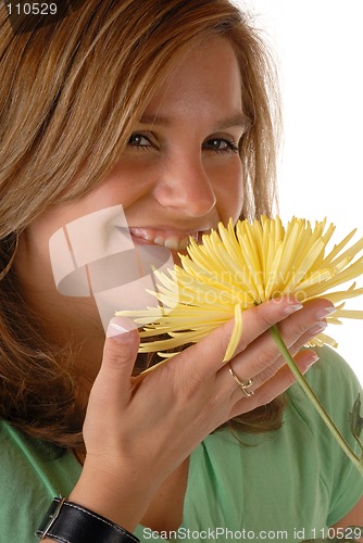 Image of Yellow Flower