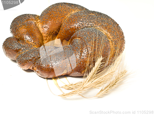 Image of Wheat corn and Tasty bagel 