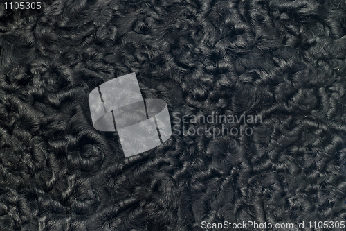 Image of Closeup of black sheepskin fur