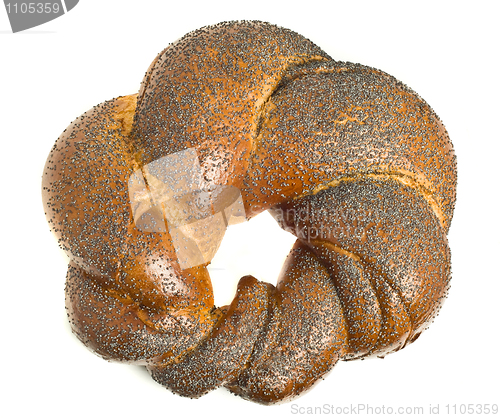 Image of Tasty bagel with poppy seeds isolated