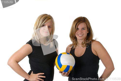 Image of Volley Ball Team