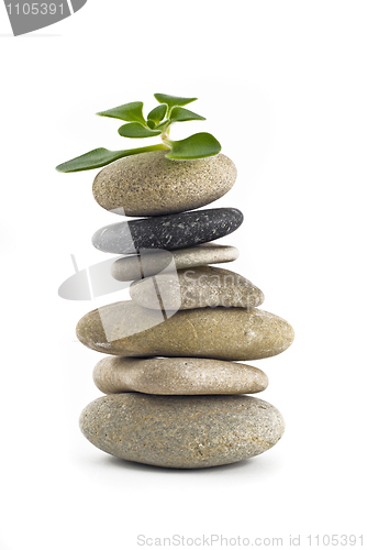 Image of Green Life - balanced stone tower with plant