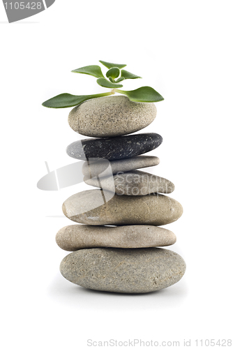 Image of Green Life - balanced pebble tower