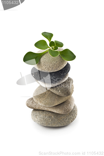 Image of Birth of Life - balanced stone tower with plant